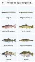 Planeta Peixes imagem de tela 2