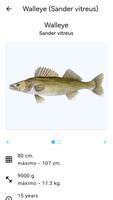 Planeta dos peixes imagem de tela 3