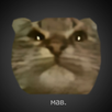 Кит ты маму мав? APK