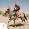 Desert Revenge APK