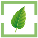 Naturestat-分享的自然短语 APK