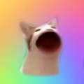 Plop Cat