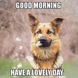 ”Good Morning, After Night 2022