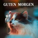 ”Guten Morgen Abend Gute Nacht
