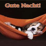 ”Gute Nacht 2022