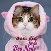 Bom dia Boa Tarde Toa Noite 图标
