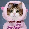 Bom dia Boa Tarde Toa Noite