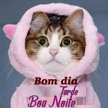”Bom dia Boa Tarde Toa Noite