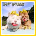 Happy Weekend 2022