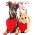 San Valentin GIF 2022
