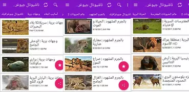 عالم الحيوانات المفترسة - ناشونال جيوجرافيك‎