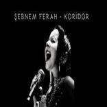 Best of Şebnem Ferah Songs