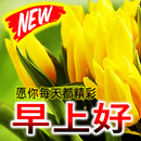 Good Morning Afternoon And Night in Chinese APK