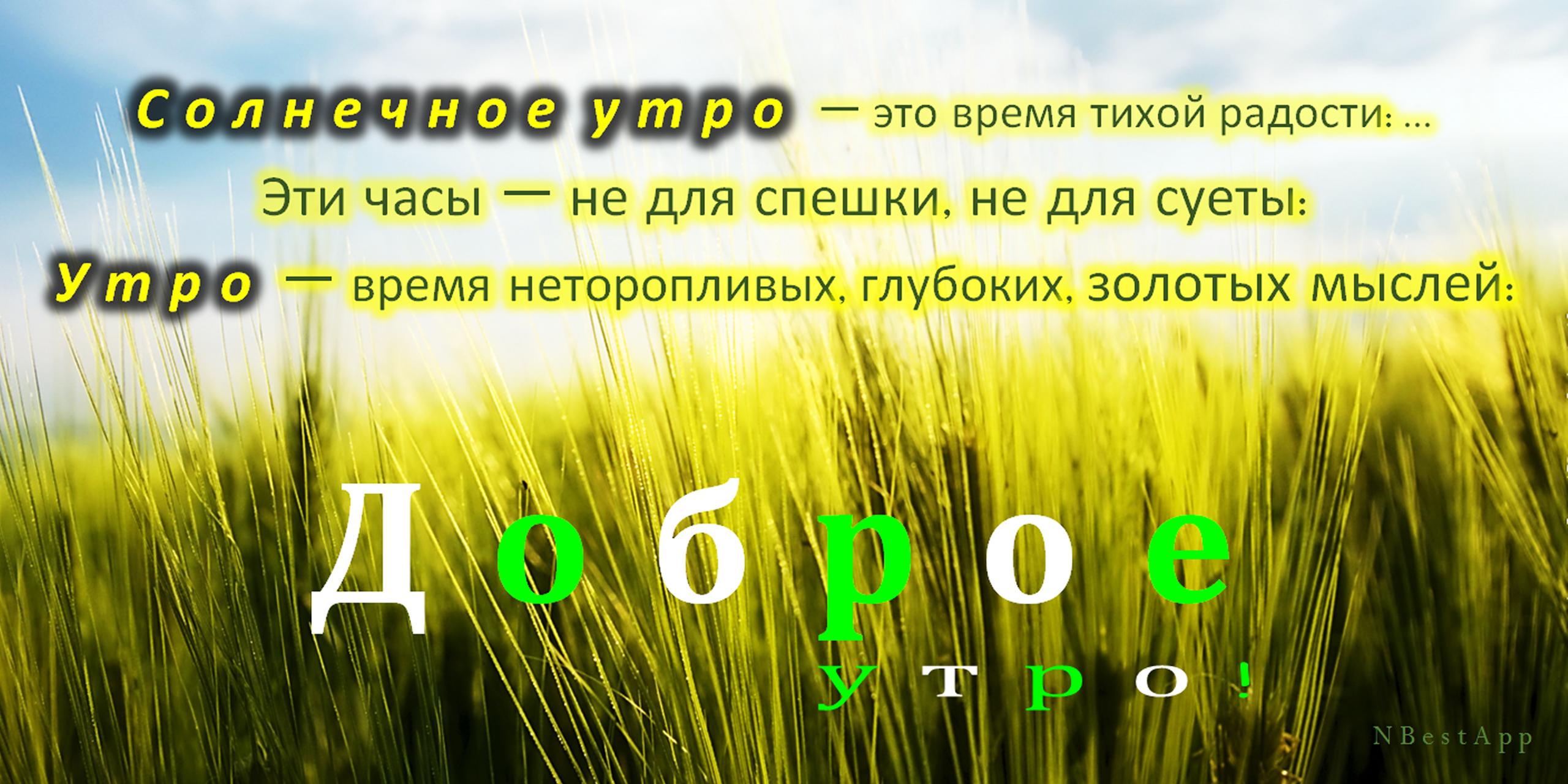 Слова тихое тихое время. Утро время неторопливых глубоких золотых мыслей. Утро - время золотых мыслей. Тихая радость. Утро время тихой радости картинки.