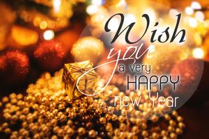Happy New Year screenshot 1