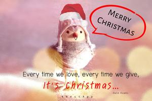 Merry Christmas 2019 screenshot 2
