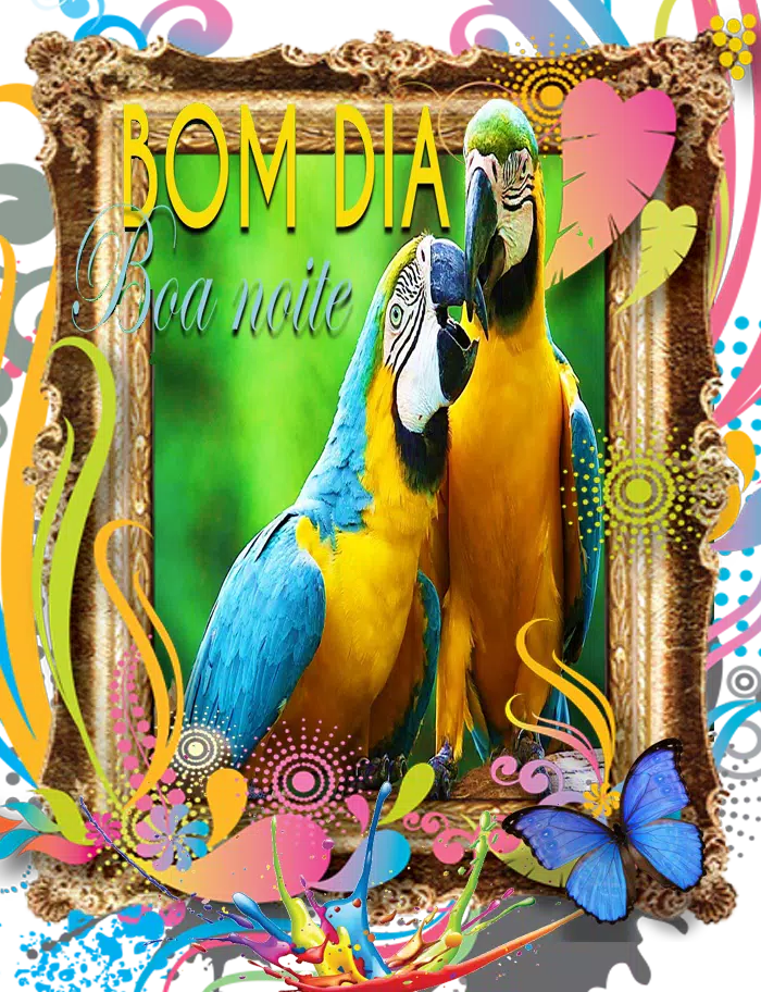 Bom dia/Boa tarde/Boa noite APK for Android Download Bom dia/Boa tarde/Boa noite APK for Android Download