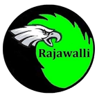 Rajawalli Tour & Trevel icon