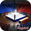 Drunken Boxer - Ragdoll Boxing 3D