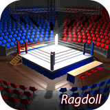 Drunken Boxer - Ragdoll Boxing 3D icône