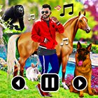 Animal photo video maker music 图标