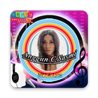 Anggun C. Sasmi - What We Remember Song n Lyric иконка