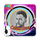 Calum Scoutt - You Are The Reason Zeichen