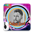 Calum Scoutt - You Are The Reason icon