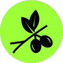 Olives yield APK