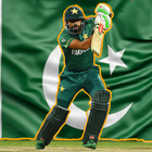 PSL 8 Pakistan Cricket game-icoon