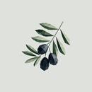 BIO-ΜΝΗΜΗ APK
