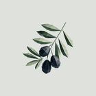 BIO-ΜΝΗΜΗ icono