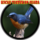 Burung Kicau Tledekan Juara 圖標