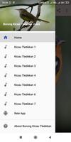 Burung Kicau Tledekan Juara capture d'écran 1