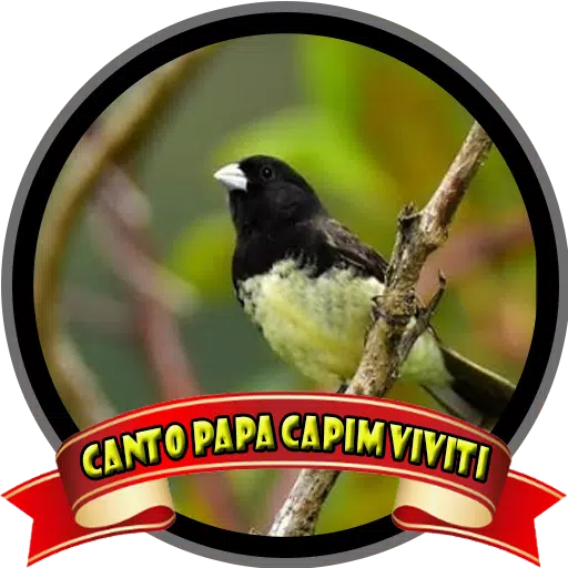 Canto De Papa Capim - Apps on Google Play