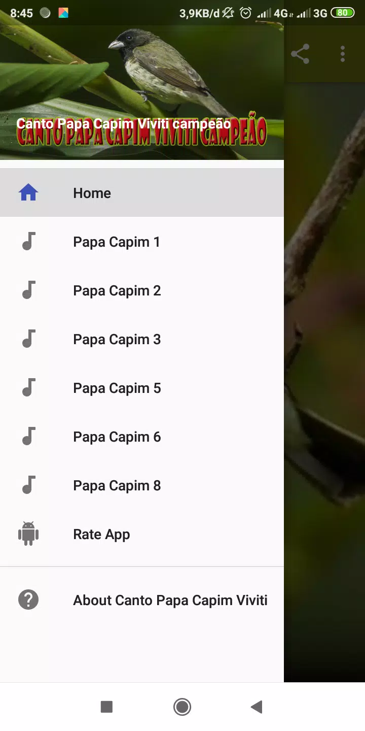 Canto De Papa-Capim – Apps no Google Play