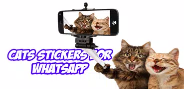 WAStickersApps Funny Cat for WhatsApp