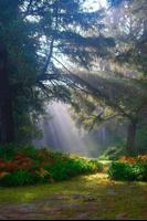 Nature Wallpaper || 4K Latest HD Nature Wallpapers imagem de tela 2