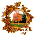 Nature Frames Photo Editor