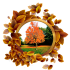 Nature Frames Photo Editor icon