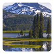 Nature Live Wallpaper
