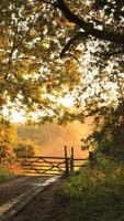برنامه‌نما Nature Live Wallpaper عکس از صفحه