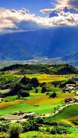 برنامه‌نما Nature Live Wallpaper عکس از صفحه