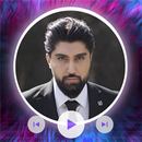 Navid Zardi - آهنگ  نوید زردی APK