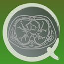 CT PassQuiz Brust / Schnittana APK