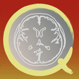 CT PassQuiz 頭部/脳 / CT断面図解剖アプリ 
