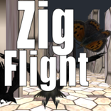 Zig Flight