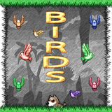 Birds icon