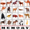 Memory APK
