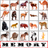 Memory APK